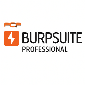 Burp Suite Professional